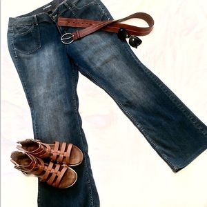 Like New, Lane Bryant Dark Denim Tall Jeans. 20